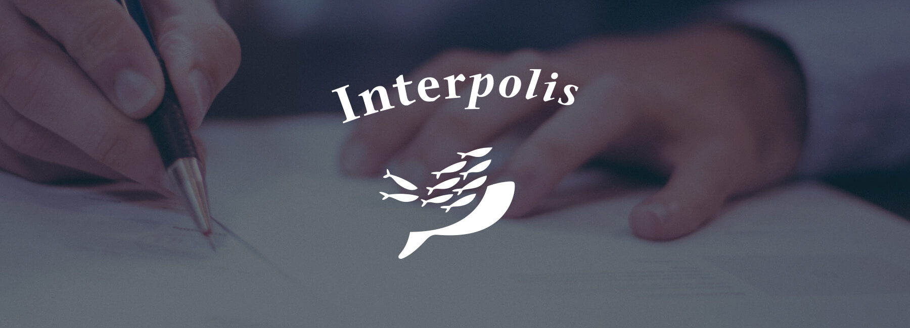 Mopinion releases testimonial video with Interpolis