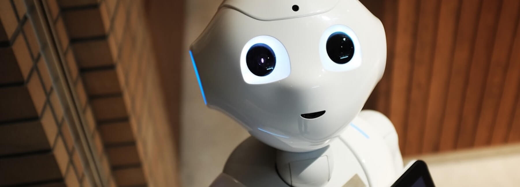 Continuous innovation thanks to a good product feedback loop