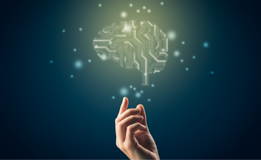 AI - customer feedback summarisation