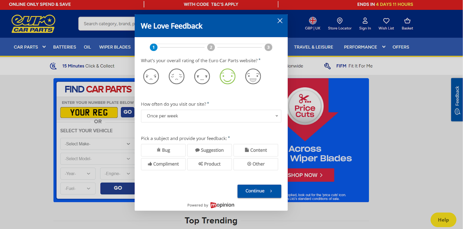 Euro Car Parts general survey