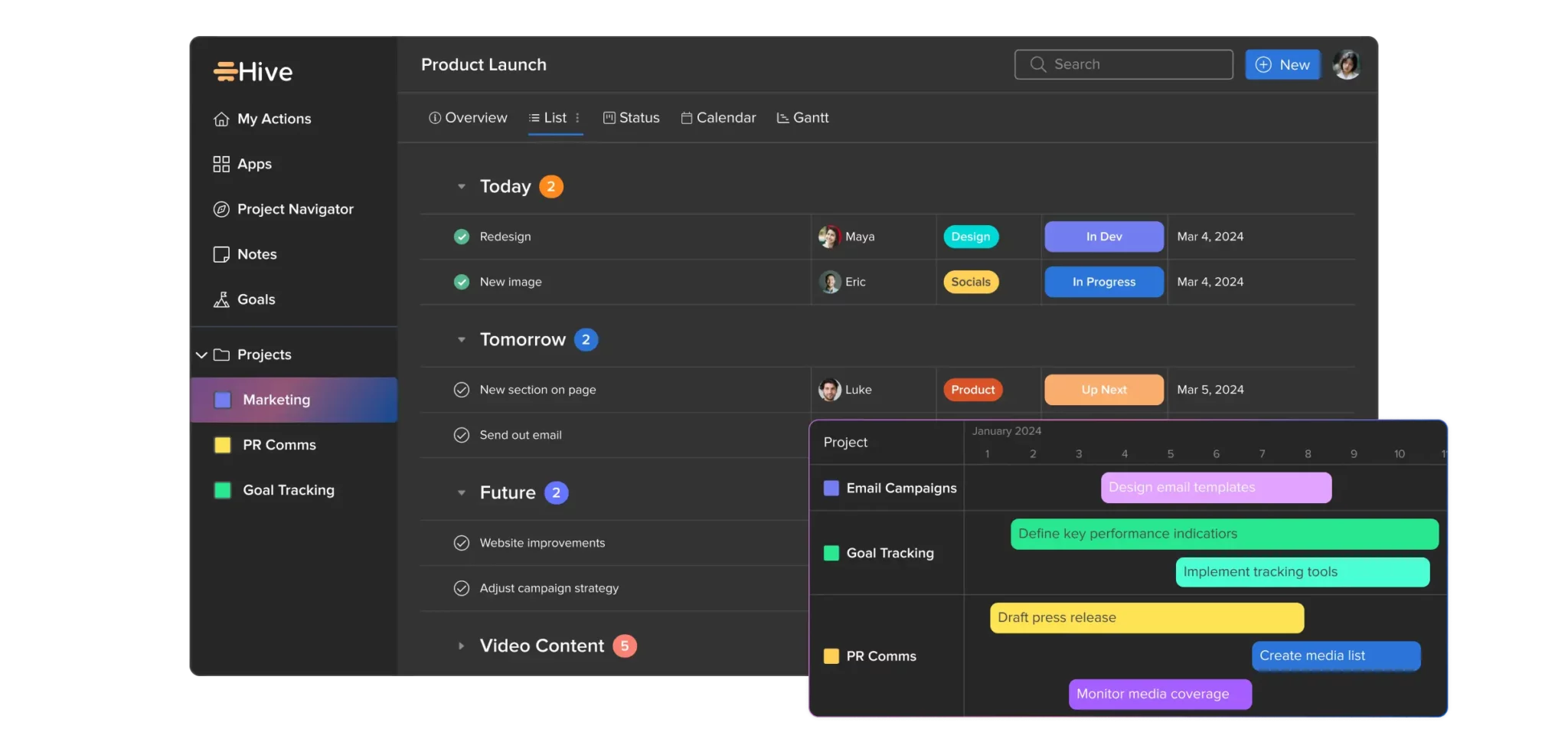 Project Management Software: Hive