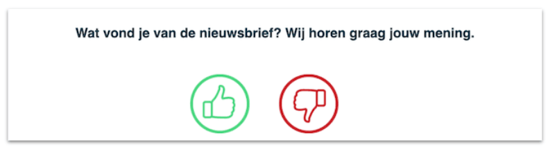Email Campaign Feedback Newsletter Example