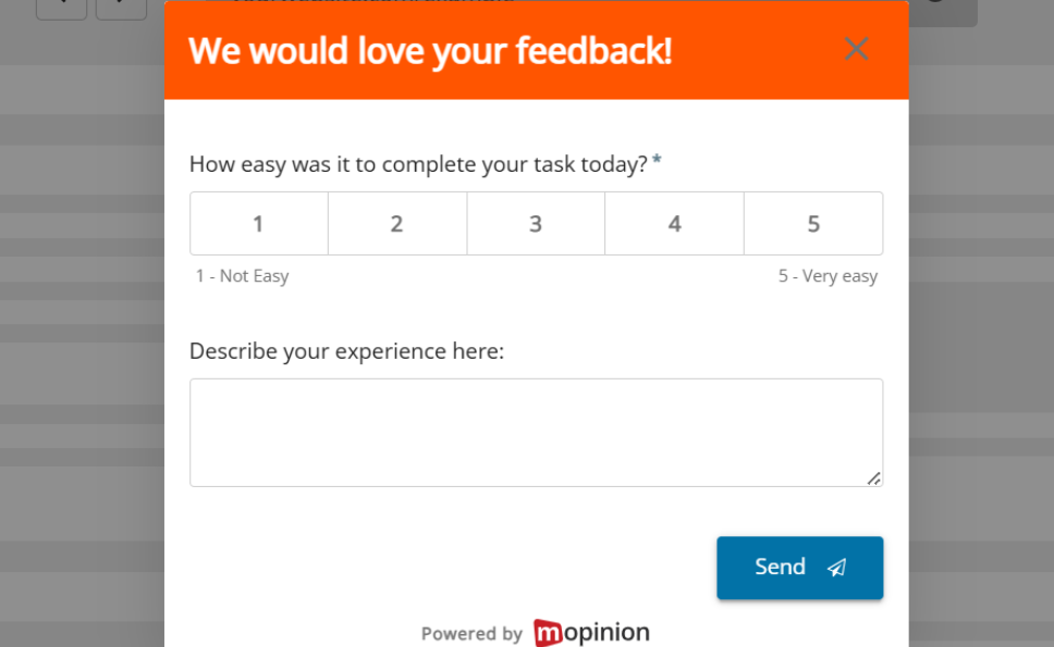 Website Feedback - grading