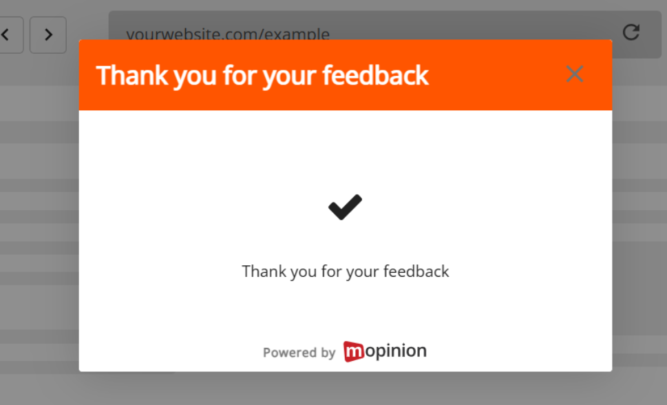 Website Feedback - thank you