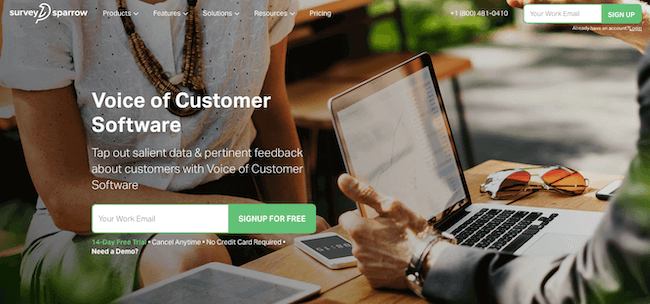 28 Voice of the Customer (VoC) tools: an overview & comparison - Survey Sparrow