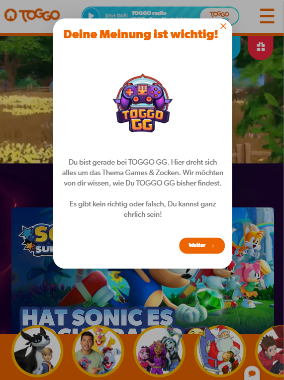 TOGGO branded survey